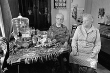 301185 Portret van de dames Van Vliet en Van Oort in hun woning aan de Fockstraat te Utrecht, met het door het ...